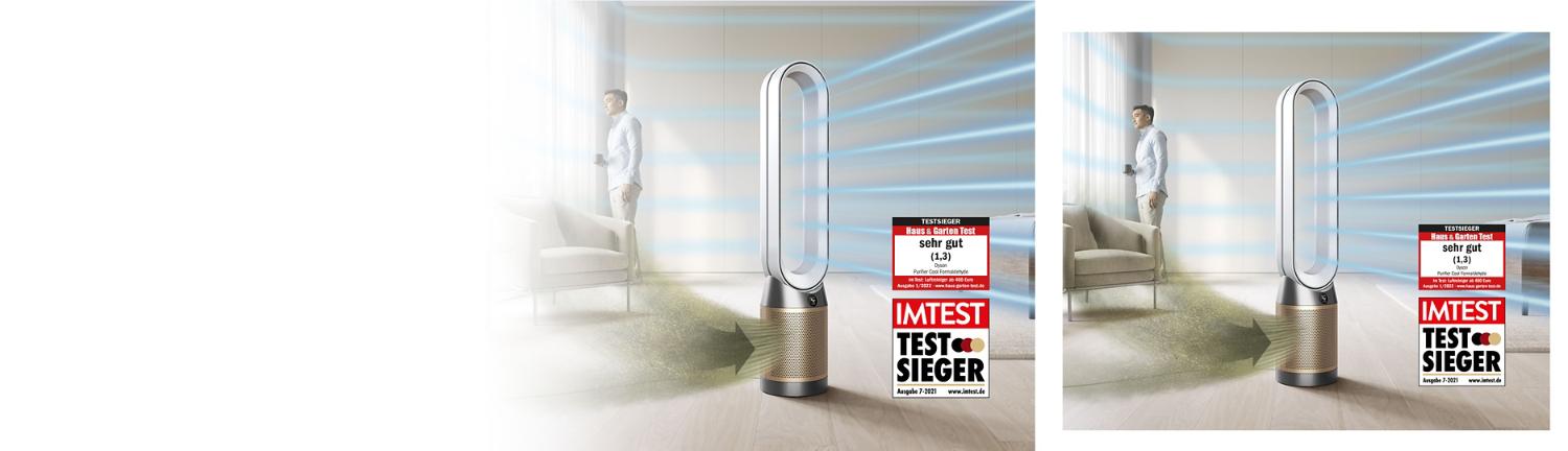 Große Wohnfläche wird von einem Dyson Luftreiniger gereinigt